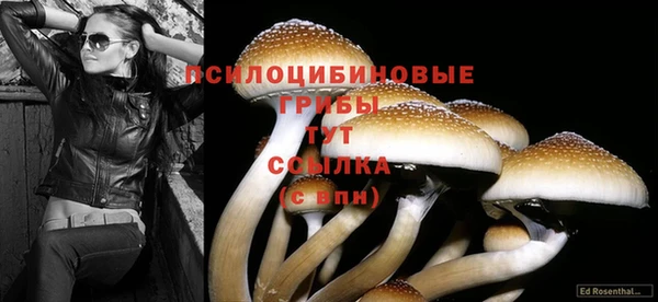 амф Остров