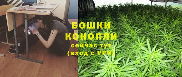 бошки Осташков