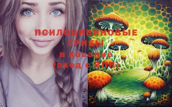амф Остров