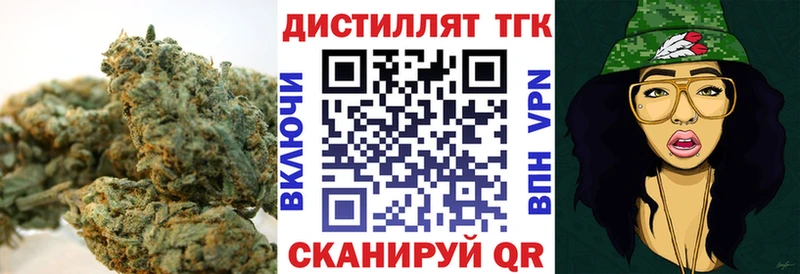 Купить где  Канаш  ТГК концентрат 