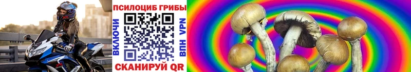Купить закладки  Канаш  Псилоцибиновые грибы мицелий 